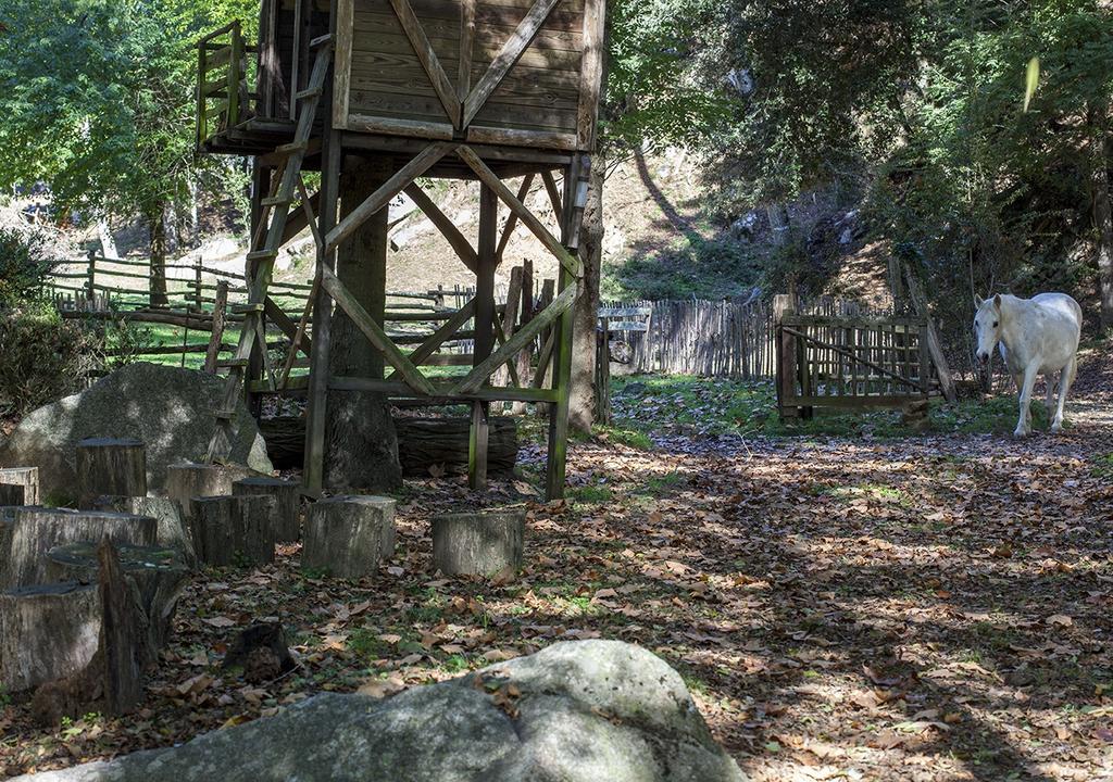 Masia El Moli De Can Aulet Arbúcies Buitenkant foto
