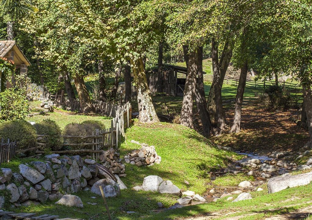 Masia El Moli De Can Aulet Pension Arbúcies Buitenkant foto